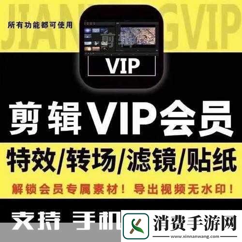 今天高清视频免费播放