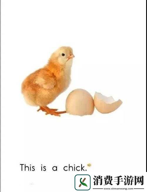 我里小鸡硬邦邦前一句怎么说及相关内容探讨