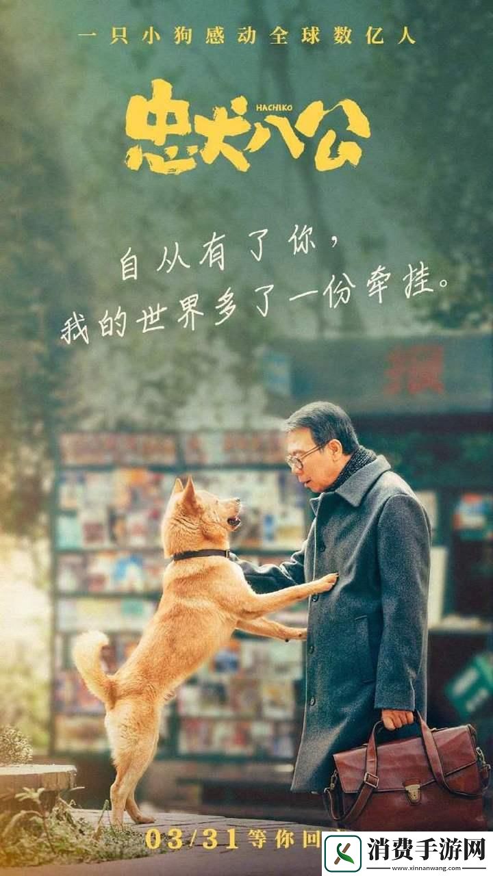 “中华田园犬电影狂潮