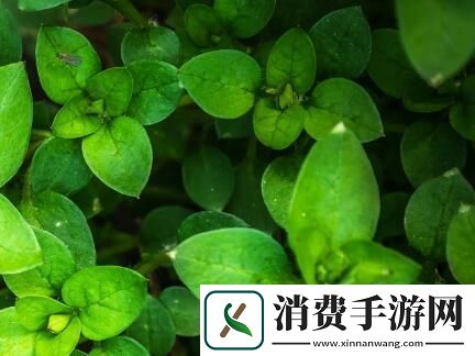 男二女二在一起的韩剧有哪些