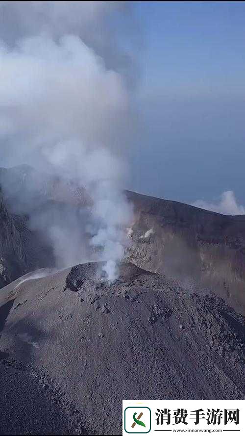 大开大合地动了起来