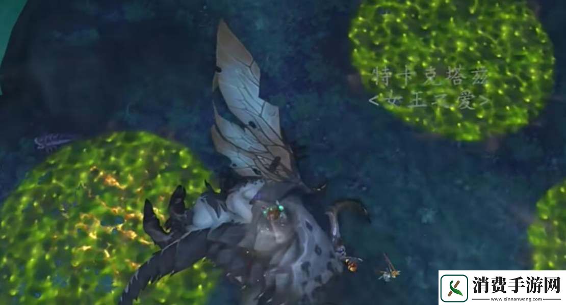 魔兽世界特卡克塔兹刷新时间及地点详情