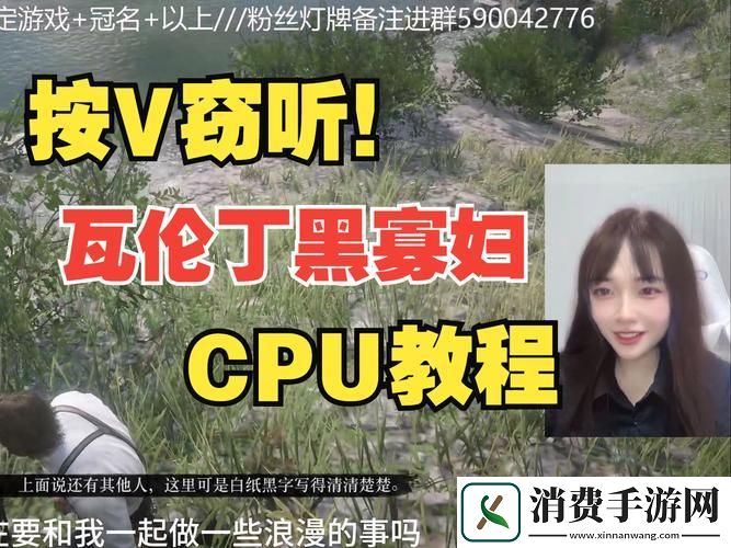 荒野大镖客大妈