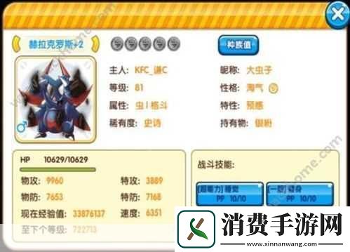 口袋妖怪复刻赫拉克罗斯道具介绍与解析