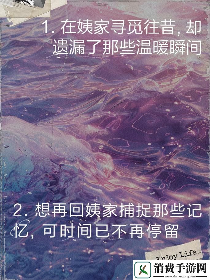 “姨母家的遗憾