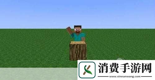 如何喂养和繁殖我的世界中的小兔子