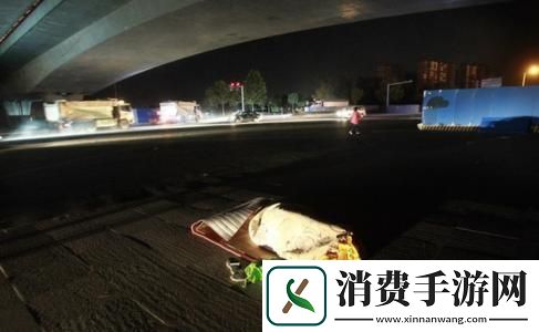 “桥下献丐”潮