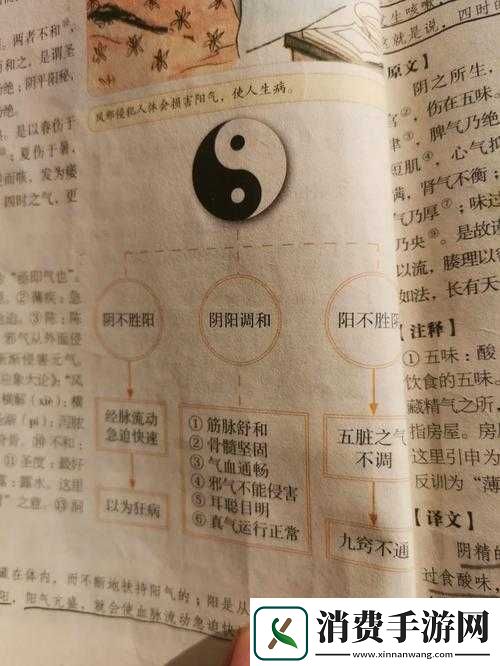 母与子的阴阳调和