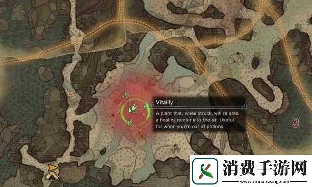 大痹贼龙出没区域探秘