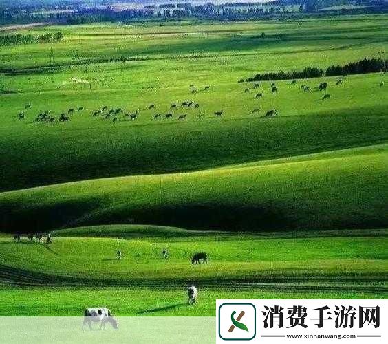 目录导航国卢主题的起源与演变17c一起草