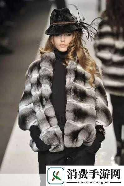 AAAA级毛皮最火的一句