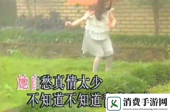 含羞草经典影视歌曲青春的忆影视