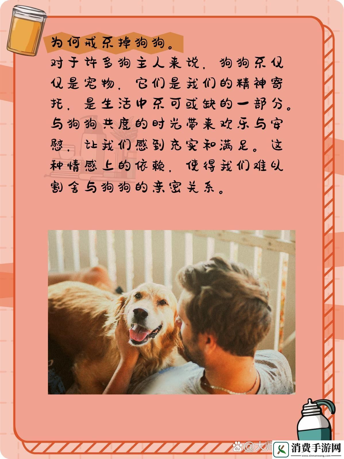 “汪星人”迷幻阵