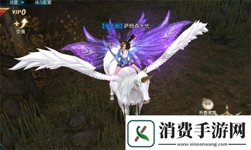 趣味服饰来搞怪奇迹