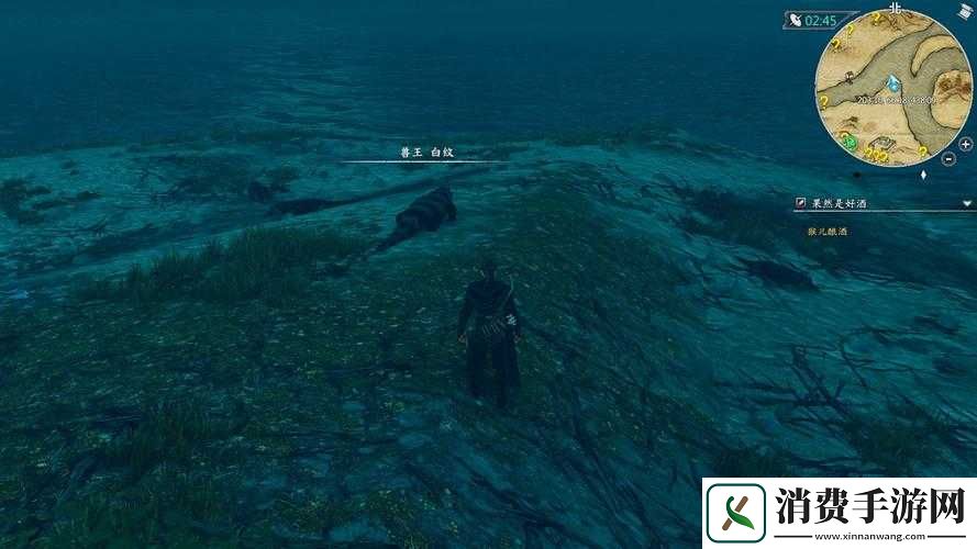 河洛群侠传白鳄鱼王实力与白纹属性技能一览