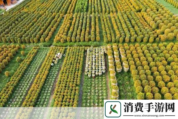 一二三产区价格差异分析1.