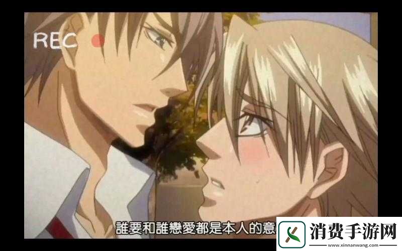 双男主高速飙车