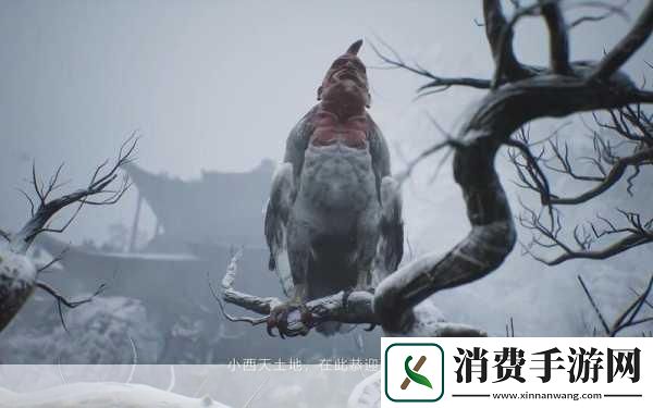 对于许多手游爱好者而言