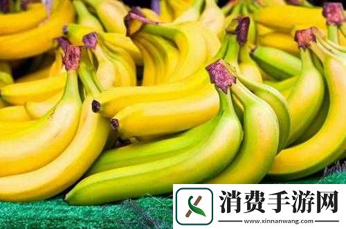 香蕉十八度和二十三度的区别