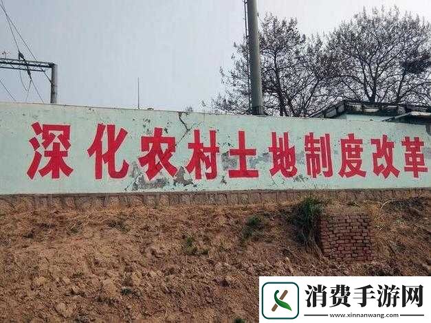 儿子代耕母亲的土地