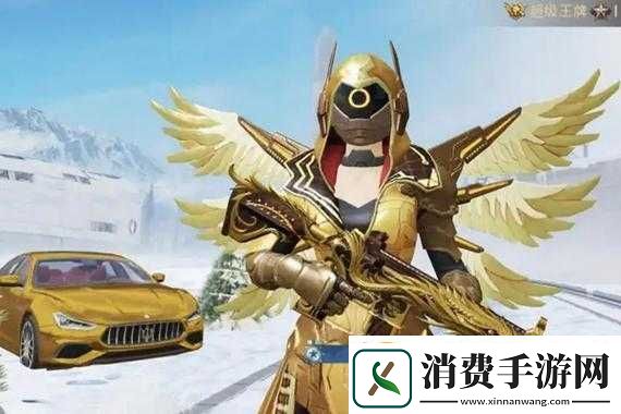 炽羽金尊套装获取方法