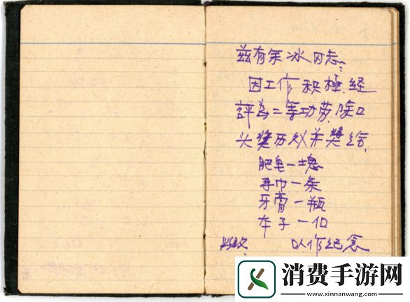 游荡的生活日记