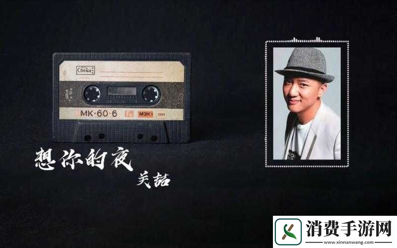 今夜就让我狠狠地想你翻唱