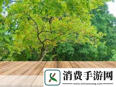 对于每一位沉浸在手游世界的玩家而言