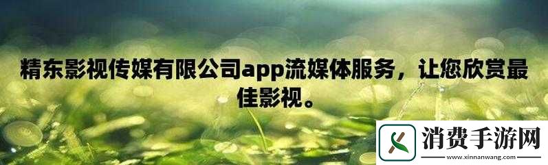 精东影视传媒文化管理公司