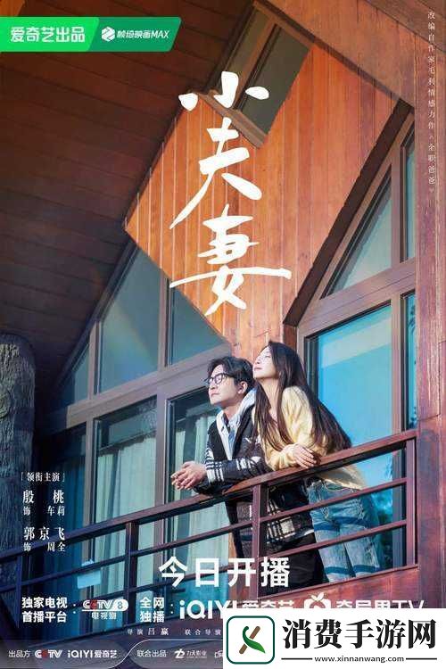 哔哩哔哩适合夫妻看的电视剧