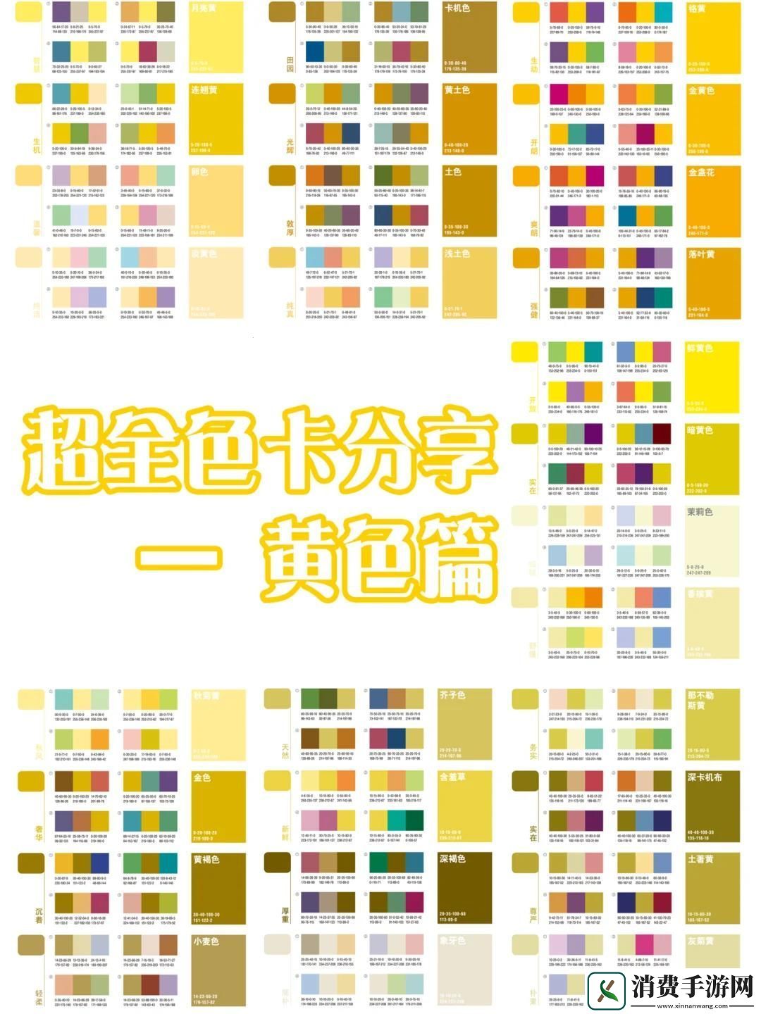 “ye2344黄土色卡”揭秘