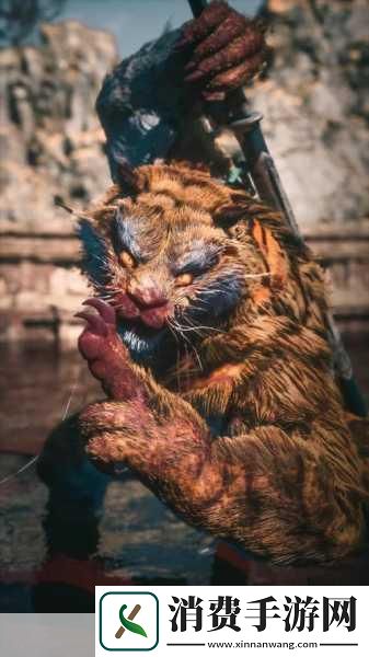 在无数玩家心中