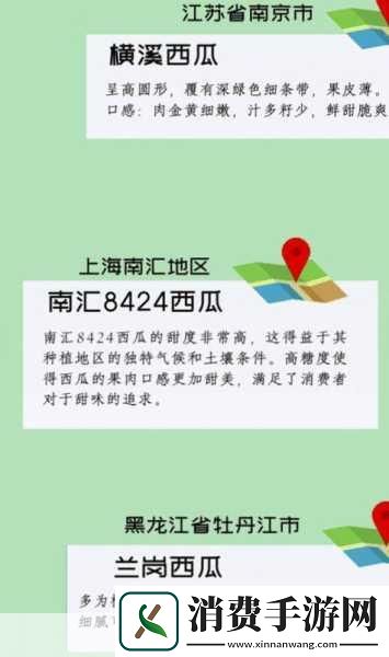 吃瓜群众的日常