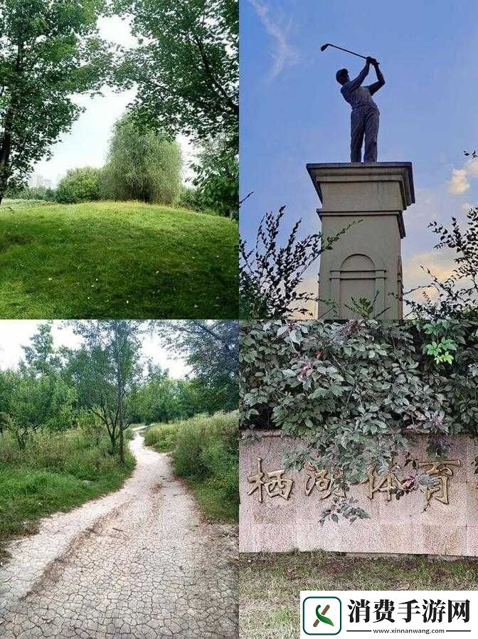 直捣黄龙迎来送往