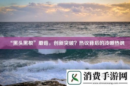 “黑头黑根”蘑菇