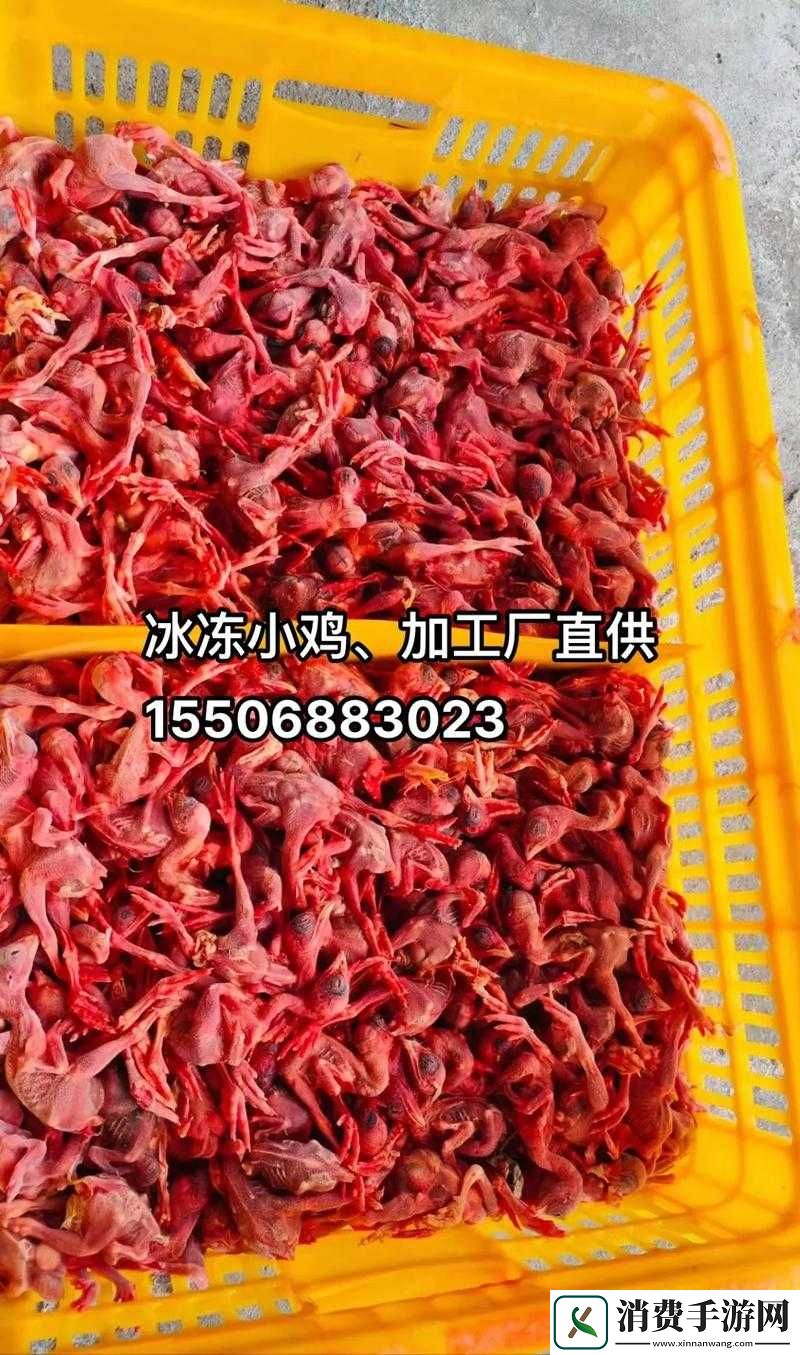 冷冻食品在家中保存多久