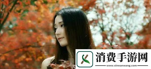 X9X9X9X9任意槽2024免费版