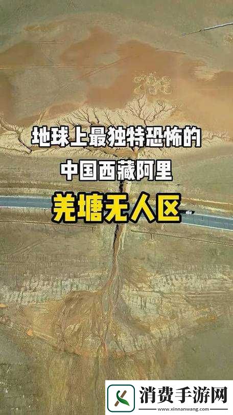 无人区码一码二码三码是什么