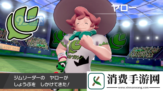 宝可梦剑盾草路镇道馆亚洛打法