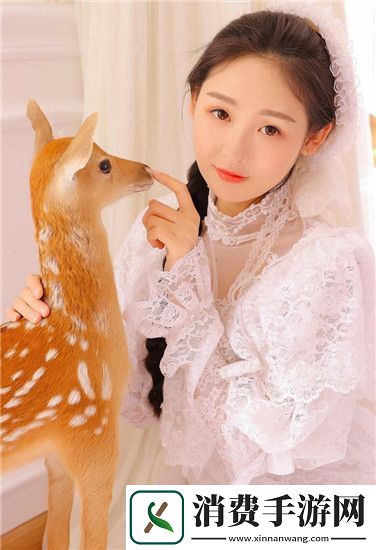 天美麻花果冻视频大全英文版