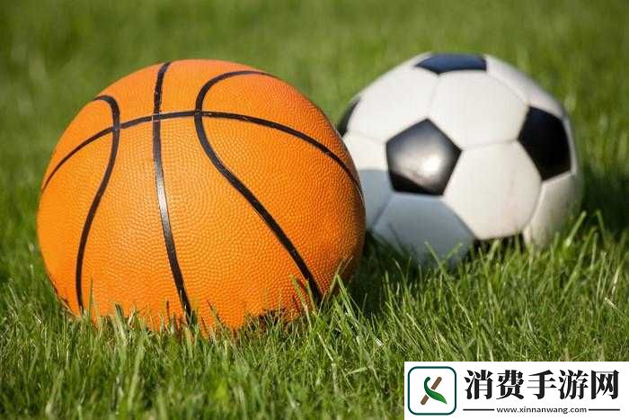 两个球球一直摇晃个不停的奇妙景象