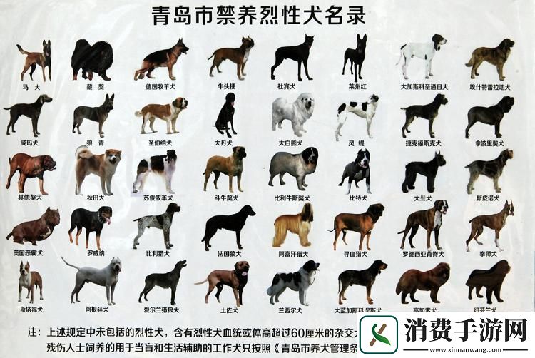 “狗狗人胶秘方”