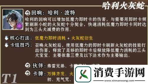 哈利波特魔法觉醒