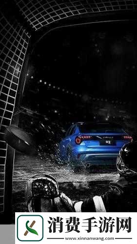 对于热爱冰球运动的玩家们来说