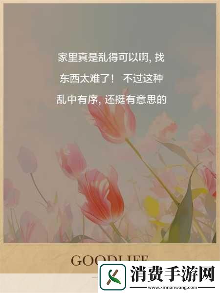 家庭大杂乱经典说说高志远