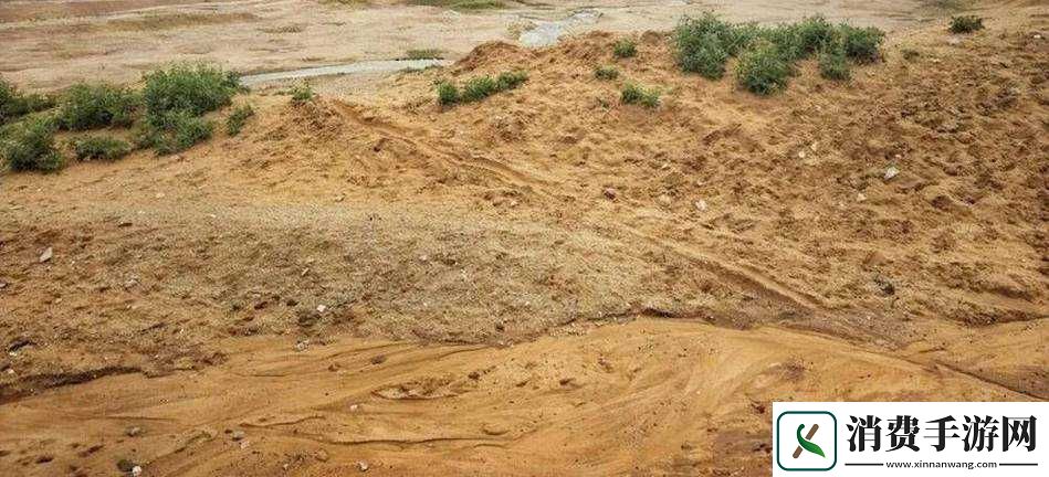 开垦母亲肥沃的土地叫什么