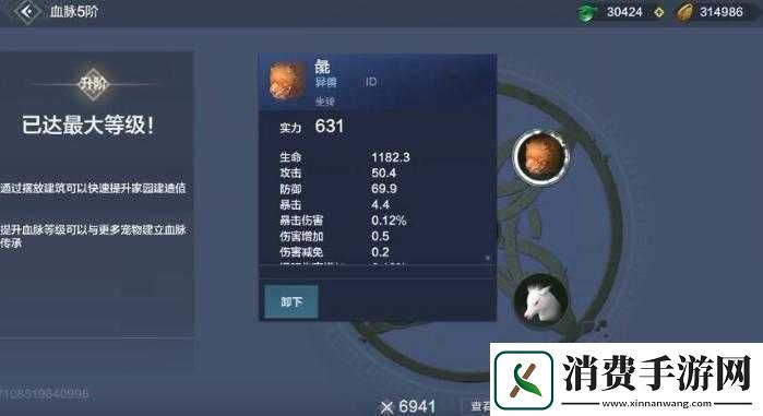 妄想山海如何与其他玩家战斗