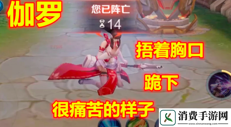 伽罗躺床流分泌物