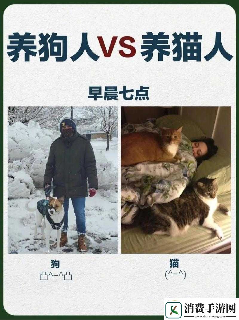 人狗胶配方大全狗狗一