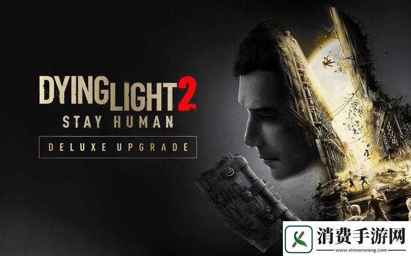 消逝的光芒可以几个人起玩